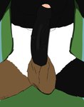 anthro big_penis erection foreskin front_view fur genitals male penis sitting solo furiousfox bear giant_panda mammal qinling_panda ursine hi_res