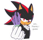 anthro black_body black_fur dialogue flower fur looking_at_viewer male plant red_eyes simple_background solo white_background fernsstories sega sonic_the_hedgehog_(series) shadow_the_hedgehog eulipotyphlan hedgehog mammal hi_res