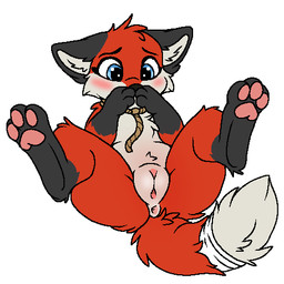 anus covering covering_face covering_mouth embarrassed female feral genitals humanoid_genitalia humanoid_genitalia_on_feral humanoid_vulva humanoid_vulva_on_feral lying on_back presenting spread_legs spreading vulva xenoyia vixy_(hyilpi) canid canine fox mammal 1:1 digital_media_(artwork) low_res oekaki pawprint.ing_(artwork)