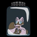 anthro container female jar solo skellyroon pony_cum_jar_project poppy_(skellyroon) mammal procyonid raccoon 1:1 alpha_channel meme