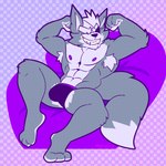 abs anthro armpit_hair body_hair briefs clothed clothing eyewear flexing fur grey_body grey_fur male muscular muscular_anthro muscular_male nipples smile solo tail topless underwear underwear_only fizzyjay nintendo star_fox wolf_o'donnell canid canine canis mammal wolf 1:1 digital_media_(artwork) hi_res