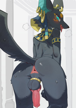 animal_genitalia animal_penis anthro anus armlet backsack ball_ring balls big_ears black_body black_fur blue_eyes butt canine_genitalia canine_penis ear_piercing ear_ring egyptian erection femboy fur genitals gold_(metal) gold_jewelry gold_necklace jewelry kemono knot male necklace penis perineum piercing presenting presenting_hindquarters rear_view ring_piercing solo tongue tongue_out uraeus y_anus ikiyok anubian_jackal canid canine canis jackal mammal absurd_res hi_res