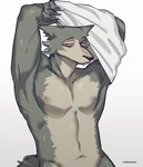 anthro clothing fur grey_body grey_fur male multicolored_body multicolored_fur navel nipples shirt simple_background solo tan_body tan_fur topwear two_tone_body two_tone_fur undressing white_background white_clothing white_shirt white_topwear kadikadisake beastars legoshi_(beastars) canid canine canis mammal wolf 2020 hi_res signature