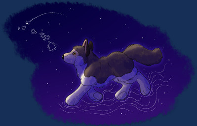 ambiguous_gender black_nose brown_body brown_fur digitigrade feral fur hawaii night orange_eyes paws plushie shooting_star snout solo star tail tan_body tan_fur wolf_plushie maligaytor douglas_cuddle_toys tahoe_(douglas_cuddle_toys) animate_inanimate canid canine canis living_plushie mammal wolf 2026 alpha_channel digital_drawing_(artwork) digital_media_(artwork) hi_res paint_tool_sai_(artwork) shaded