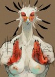 anthro beak breasts claws ejaculation feathers female fingers humanoid_hands long_neck muscular muscular_female nipples red_hands solo white_body hierro_(artist) accipitriform avian bird secretary_bird hi_res