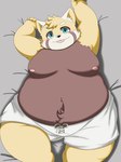 anthro belly blep blue_eyes blush clothing fur lying male moobs navel nipples on_back orange_body orange_fur overweight solo tongue tongue_out underwear young kemoduelist crave_saga caladbolg_(crave_saga) ailurid mammal red_panda 3:4 hi_res