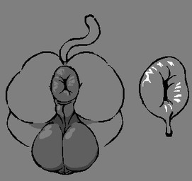ambiguous_form anus balls big_balls big_butt butt genitals heavy_balls huge_balls huge_butt male perineum puffy_anus scrotum_flap solo tail thick_thighs wet_anus fanaeka ambiguous_species digital_media_(artwork) low_res microsoft_paint_(artwork) tagme