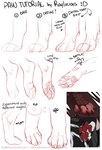 ambiguous_form ambiguous_gender black_body black_fur claws english_text feet fluffy_paws foot_focus fur hi_res how-to partially_colored pawpads paws rayliicious red_pawpads sketch_page solo text white_body white_fur