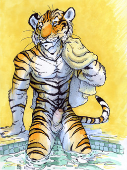anthro balls bath erection foreskin genitals glans humanoid_genitalia humanoid_penis legs_in_water male muscular muscular_anthro muscular_male nude partially_retracted_foreskin partially_submerged penis penis_tip pink_glans solo stripes submerged_legs tail towel water white_penis oce felid mammal pantherine tiger
