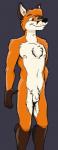 anthro genitals male nipples nude penis simple_background solo cirruskitfox joe_(cirruskitfox) canid canine fox mammal