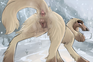 anatomically_correct anatomically_correct_genitalia animal_genitalia animal_vulva anus bedroom_eyes bodily_fluids butt canine_genitalia canine_vulva dripping dripping_vulva female feral genital_fluids genitals leaking_vagina looking_at_viewer looking_back narrowed_eyes presenting presenting_anus presenting_hindquarters presenting_vulva raised_tail seductive smile smiling_at_viewer snow snowing solo tail vaginal_fluid_drip vaginal_fluids vulva queenkoko balto_(series) universal_studios sylvie_(balto) afghan_hound canid canine canis domestic_dog hunting_dog mammal sighthound hi_res