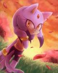 anthro clothed clothing female grass looking_at_viewer petals plant solo yellow_eyes freedomfightersonic sega sonic_the_hedgehog_(series) blaze_the_cat domestic_cat felid feline felis mammal 2015 4:5 hi_res