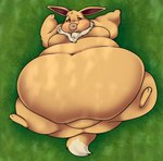 ambiguous_gender belly big_belly brown_body brown_eyes brown_fur dessert doughnut eating eevee feral food fur generation_1_pokemon hi_res huge_belly hyper hyper_belly immobile lying morbidly_obese morbidly_obese_ambiguous morbidly_obese_feral nintendo obese obese_ambiguous obese_feral on_back outside overweight overweight_ambiguous overweight_feral pastry pokemon pokemon_(species) pompuffy_(artist) solo stuffing tail weight_gain