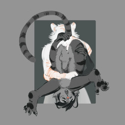 anal anal_fingering animal_genitalia anthro anthro_fingered anthro_fingering anthro_fingering_anthro anthro_on_anthro balls duo eyes_closed eyewear fingering fully_sheathed fur genitals glasses hair male male/male male_fingered nude open_mouth sheath upside_down harufeng felid mammal pantherine tiger 1:1 absurd_res hi_res