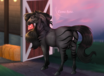 animal_genitalia animal_vulva anus black_mane black_tail condom condom_in_mouth equine_anus equine_genitalia equine_vulva eyelashes female female_feral feral gaping gaping_vagina genitals glistening glistening_eyes grass grey_body grey_hooves hay hay_bale hooves inviting_to_sex looking_at_viewer mane mouth_hold narrowed_eyes object_in_mouth outside plant puffy_anus sexual_barrier_device solo striped_legs tail teats teeth text unused_condom vulva wrapped_condom huskii-s equid equine horse mammal english_text hi_res