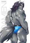 anthro barazoku big_muscles black_nose blue_clothing blue_underwear brown_eyes butt clothing fur grey_body grey_fur hair long_hair male mature_anthro mature_male muscular muscular_anthro muscular_male nipples rear_view smile solo text thick_thighs underwear akai.kaze damien_hayabusa canid canine canis mammal wolf absurd_res hi_res signature