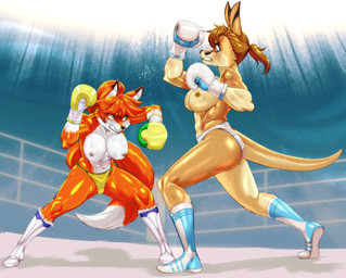 anthro bodily_fluids bottomwear boxing boxing_gloves breasts clothed clothing duo female fight fighting_ring hair handwear mouthguard nipples ponytail sport sports_panties sweat tail topless wet wet_clothing pugilismx canid canine fox kangaroo macropod mammal marsupial 2026 absurd_res digital_media_(artwork) hi_res