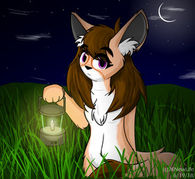 anthro female grass lamp lantern moon night plant sky solo jknewlife mira_fanack canid canine fennec_fox fox mammal true_fox hi_res