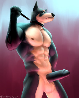 abs anthro balls big_penis black_body black_fur black_glans black_nose black_penis brown_nipples circumcised collar collar_only erection fur genitals glans gradient_background hand_on_hip holding_own_leash leash leash_pull leashed_collar looking_at_viewer looking_down looking_down_at_viewer male multicolored_body muscular muscular_anthro muscular_arms muscular_male muscular_thighs navel nipples nude nude_anthro nude_male pecs penis simple_background solo standing tan_body tan_fur two_tone_body grizzlyhorn_(artist) canid canine canis dobermann domestic_dog mammal pinscher 2023 hi_res