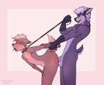 abdominal_bulge anal anal_penetration anthro balls big_penis brown_body brown_fur collar duo erection from_behind_position fucked_silly fur genitals leash leash_pull leashed_collar leashed_male looking_pleasured male male/male penetration penis purple_body purple_fur raised_tail sex standing standing_sex tail shaurmyash mir_(mirdrains) deer mammal