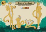 anthro breasts butt female fur genitals looking_at_viewer nipples nude pussy referense solo text mordorinka dungeons_and_dragons hasbro wizards_of_the_coast liris_d'jardavi domestic_cat felid feline felis mackerel_tabby mammal tabaxi english_text hi_res model_sheet