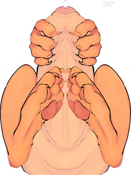 ambiguous_gender balls big_balls big_penis bodily_fluids claws disembodied_foot disembodied_hand disembodied_penis duo feet feral foot_fetish foot_play footjob foreskin foreskin_stretching fur genital_fluids genitals gripping_penis handjob handjob_from_behind humanoid_genitalia humanoid_penis male orange_body orange_fur outercourse pale_skin pawpads paws penile penis penis_tip precum precum_on_penis saggy_balls saggy_foreskin sex toe_claws heizenart canid canine human mammal 3:4 absurd_res hi_res