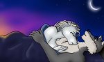 afterglow anthro camping duo female hug male male/female moon night outside sky sleeping_bag smile star starry_sky stickypaws gravewalker_(character) canid canine canis mammal wolf digital_media_(artwork)