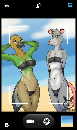 anthro beach black_border border breasts bulge camera_view clothed clothing duo female fur looking_at_viewer male nipples one-piece_swimsuit seaside simple_background smile swimwear thick_thighs translucent translucent_clothing translucent_swimwear under_boob darkmaro gris_swimsuit meme_clothing holy_(darkmaro) lex_(darkmaro) american_opossum avian bird mammal marsupial quetzal trogonid virginia_opossum 2022 absurd_res digital_media_(artwork) hi_res meme nonbinary_(lore)