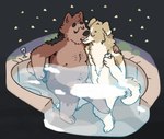 anthro bathing_together biped brown_body brown_fur duo fur male nude_anthro nude_male overweight overweight_anthro overweight_male white_body white_fur venice_dogs bear canid canine canis domestic_dog mammal 2024 hi_res