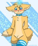 anthro blue_background blue_collar blue_eyes blush chest_fur collar femboy fluffy fluffy_ears fluffy_tail fur hair hands_behind_back male male/male nude simple_background smile smirk solo tail thick_thighs yellow_body yellow_fur aceyzegoldenfox acey_goldenfox(oc) canid canine hybrid mammal digital_media_(artwork)