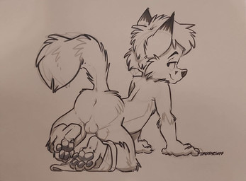4_toes all_fours anthro anus backsack balls bedroom_eyes butt closed_smile clothed clothing clothing_around_one_leg countershade_butt countershade_torso countershading dipstick_ears ear_markings feet fur genitals gloves_(marking) hair looking_at_viewer looking_back looking_back_at_viewer male male_anthro markings mouth_closed multicolored_ears narrowed_eyes nude nude_anthro nude_female partially_clothed pawpads paws presenting presenting_hindquarters seductive smile soles solo tail toes underwear underwear_around_one_leg underwear_down young young_anthro young_male smokeyaussie tycloud canid canine fox mammal red_fox true_fox hi_res monochrome signature sketch traditional_media_(artwork)