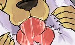 animal_genitalia animal_penis anthro bodily_fluids canine_genitalia canine_penis cum cum_in_mouth cum_inside duo fellatio female fur genital_fluids genitals knot male male/female oral oral_penetration penetration penile penis sex white_body white_fur yellow_body yellow_fur rakoonmavem bird_dog bovid canid canine canis caprine domestic_dog goat golden_retriever hunting_dog mammal retriever
