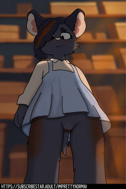 anthro blush clothed clothing dress female genitals hair light looking_at_viewer low-angle_view no_underwear simple_background solo sunlight supply_closet tail upskirt vulva young young_anthro imprettynormai pyxel_(sweetpyxel) agouti red_rumped_agouti 2:3 absurd_res hi_res