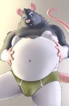 2024 absurd_res anthro belly belly_focus big_belly black_body bulge clothing green_clothing green_underwear hi_res kemono male mammal moobs murid murine navel nipples nookdae overweight overweight_male pink_nose rat rodent solo underwear white_body