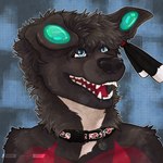 anthro collar collar_tag ear_piercing fluffy gauged_ear male piercing smile solo teeth tongue vaalravn canid canine canis domestic_dog mammal absurd_res hi_res