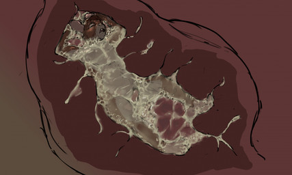 anthro anthro_prey balls belly brown_body brown_fur buckteeth claustrophobic digestion digestive_juice erection eyes_closed forced fur genitals inside_stomach internal larger_pred male micro_prey nude_micro nude_prey open_mouth organs penis size_difference solo stomach struggling struggling_prey teeth tight_fit unwilling_prey vore jeri_kleinlowe mammal mouse murid murine rodent 2023 colored hi_res