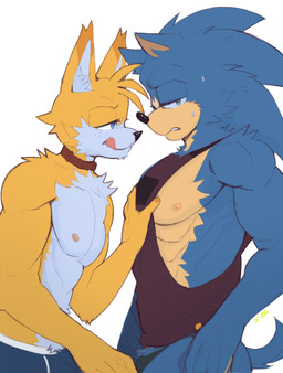 abs anthro areola bedroom_eyes biceps blue_body blue_eyes bodily_fluids chest_tuft clothed clothing collar duo freckles fur green_eyes inner_ear_fluff jockstrap licking licking_lips licking_own_lips looking_at_another looking_away male male/male multicolored_body multicolored_fur muscular muscular_anthro muscular_male narrowed_eyes nipples orange_body pecs pubes_exposed seductive shirt shirt_grab shorts_only simple_background smile sweat sweatdrop tank_top tongue tongue_out topless topwear touching_chest tuft two_tone_body two_tone_fur underwear white_background white_body white_fur aciidtron sega sonic_the_hedgehog_(series) miles_prower sonic_the_hedgehog canid canine eulipotyphlan fox hedgehog mammal 2026 digital_media_(artwork) hi_res