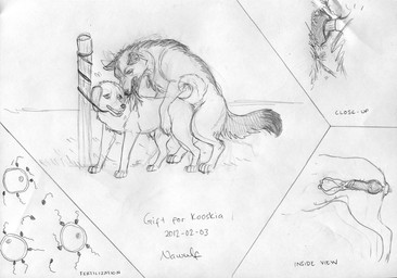 all_fours anatomically_correct anatomically_correct_genitalia anatomically_correct_vulva animal_genitalia animal_penis animal_vulva blood bodily_fluids canine_genitalia canine_penis canine_vulva cum cum_inside doggystyle duo ejaculation erection female feral feral_on_feral from_behind_position genital_fluids genitals impregnation impregnation_view internal knot knotted_penis knotting male male/female multiple_ova nude ovum penis sex sperm_cell vulva nawulf kooskia canid canine canis domestic_dog mammal wolf monochrome
