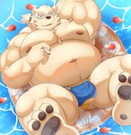 anthro belly biceps blue_clothing blue_speedo blue_swimwear bulge cigarette clothing eyebrows eyewear floating fur glasses male musclegut muscular navel nipples pawpads pecs solo speedo swim_ring swimwear swimwear_only thick_eyebrows water white_body white_fur yellow_clothing yellow_speedo yellow_swimwear nisikemo lifewonders tokyo_afterschool_summoners leib_(tas) bear mammal polar_bear ursine hi_res