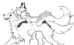 cheek_piercing fluffy fur leg_markings markings on_top piercing smile socks_(marking) tail tongue tongue_out falvie the_fox_(falvie) canid canine canis fox mammal wolf 2021 digital_media_(artwork) monochrome signature sketch