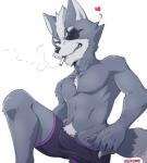 athletic athletic_male bulge cigarette clothing eye_patch eyewear heart_symbol male pubes smile smirk smoking solo underwear kemo_nuko nintendo star_fox wolf_o'donnell canid canine canis mammal wolf