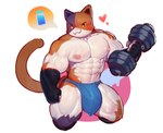 abs anthro big_bulge big_muscles blush bodily_fluids bulge clothing dumbbell exercise fingerless_gloves gloves handwear heart_symbol jockstrap kneeling looking_at_viewer male muscular muscular_anthro muscular_male nipples obliques pecs simple_face slurp_juice smile solo sweat tricolor_fur underwear weightlifting weights workout cydonia_xia epic_games fortnite meowscles calico_cat domestic_cat felid feline felis mammal absurd_res hi_res