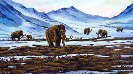 brown_body brown_fur feral fur group mountain proboscis_(anatomy) snow text trunk_(anatomy) tundra tusks young adam_rl elephantid mammal mammoth prehistoric_species proboscidean woolly_mammoth 16:9 2022 dated digital_media_(artwork) digital_painting_(artwork) english_text hi_res painting_(artwork) signature widescreen