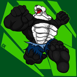 anthro belly_hair body_hair chest_hair claws feet hair hairy macro male muscular muscular_anthro muscular_male roaring solo toe_claws grizzlykubz beastars netflix gouhin_(beastars) animal_humanoid bear giant_panda humanoid mammal mammal_humanoid ursid_humanoid ursine 1:1 hi_res