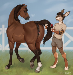 4_toes 5_fingers anatomically_correct anatomically_correct_anus anatomically_correct_genitalia anatomically_correct_vulva animal_genitalia animal_vulva anthro anus balls_outline bedroom_eyes biped black_anus black_body black_ear_tips black_fur black_nose black_tail black_vulva blush bodily_fluids bottomwear brown_anus brown_body brown_eyes brown_fur brown_hair brown_mane brown_vulva brush brushing brushing_hair bulge butt claws clitoral_winking clitoris clothed clothing day detailed_bulge digitigrade dipstick_ears dripping duo ear_markings ear_piercing ear_ring embarrassed equine_anus equine_genitalia equine_vulva erection erection_under_clothing eyebrows fangs feet female female_feral fence feral fingers fur genital_fluids genital_outline genitals grass grin hair hairbrush half-closed_eyes hindpaw holding_brush holding_object hooves industrial_piercing leg_markings looking_at_another looking_back male male_anthro mane markings multicolored_body multicolored_ears narrowed_eyes open_mouth outside paws penis_outline personal_grooming piercing pink_clitoris plant presenting puffy_anus quadruped ring_piercing seductive shirt short_hair shorts sky smile socks_(marking) spots spotted_body spotted_fur spotted_markings standing striped_arms striped_markings stripes styling_hair tail teeth thick_clitoris toes tongue topwear underhoof unguligrade vaginal_fluid_drip vaginal_fluids vulva white_body white_fur conditional_dnp tgt1512 equid equine hare horse lagomorph leporid mammal rabbit digital_media_(artwork) hi_res