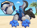 4_toes 5_fingers anthro anthro_on_anthro beach big_butt big_feet biped black_body black_skin blue_body blue_claws blue_pawpads blue_skin bodily_fluids butt claws cloud cum cum_on_butt day detailed_background digitigrade duo erection eyes_closed facial_hair feet fingers fur genital_fluids genitals glans hair hand_on_butt hot_dogging humanoid_genitalia humanoid_penis larger_anthro larger_male leg_markings lying macro male male/male male_anthro markings multicolored_body multicolored_fur multicolored_skin muscular muscular_anthro muscular_male nude on_front outside pawpads paws penis purple_body purple_fur purple_hair raised_tail rear_view sand sea seaside sex size_difference sky small_top_big_bottom smaller_anthro smaller_male smile socks_(marking) standing tail toes two_tone_body two_tone_fur water white_body white_skin solaxe_(artist) koori_highwinter vector_(megawolf91) canid canine canis fox mammal wolf 2019 4:3 colored digital_drawing_(artwork) digital_media_(artwork) hi_res shaded