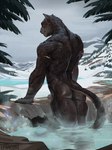 anthro arched_back back_muscles bangle black_body black_fur butt butt_muscles chain detailed_background dripping_wet evergreen_tree fingers fur genitals glistening glistening_butt gold_(metal) gold_chain gold_jewelry hot_spring humanoid_genitalia humanoid_penis jewelry jewelry_only looking_at_viewer looking_back looking_back_at_viewer male male_anthro markings mountain muscular muscular_anthro muscular_male nature nude nude_anthro nude_male outdoor_nudity outside partially_submerged penis penis_on_ground pine_tree plant snow solo spots spotted_body spotted_fur standing_in_water steam tail tree water winter yellow_eyes lynncore felid leopard mammal pantherine 2024 cool_colors hi_res