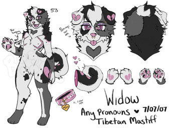 ambiguous_gender anthro collar female fur grey_body grey_fur heart_symbol male paws solo white_body white_fur buggaboopz widow canid canine canis domestic_dog livestock_guardian_dog mammal molosser mountain_dog pastoral_dog tibetan_mountain_dog hi_res model_sheet trans_(lore)
