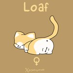 anus butt eyes_closed female feral fur genitals presenting presenting_hindquarters presenting_pussy pussy raised_tail solo tail white_body white_fur yellow_body yellow_fur godforgiveme4 ho_salt_(copyright) loaf_(ho_salt) domestic_cat felid feline felis mammal 1:1 hi_res watermark