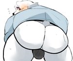 anthro black_nose blush bulge butt clothing fur jockstrap kemono male simple_background slightly_chubby solo underwear white_background white_body white_fur hyaku_(artist) aggretsuko sanrio shirota_(aggretsuko) bear mammal polar_bear ursine 2020